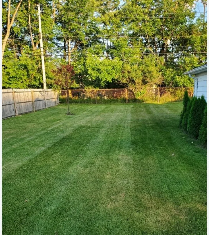 Affordable landscaping services for residential properties in Myrtle Beach, SC by Above and Beyond Lawn Service