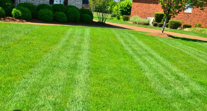 Local landscape installation with custom design across Myrtle Beach, SC - Above and Beyond Lawn Service
