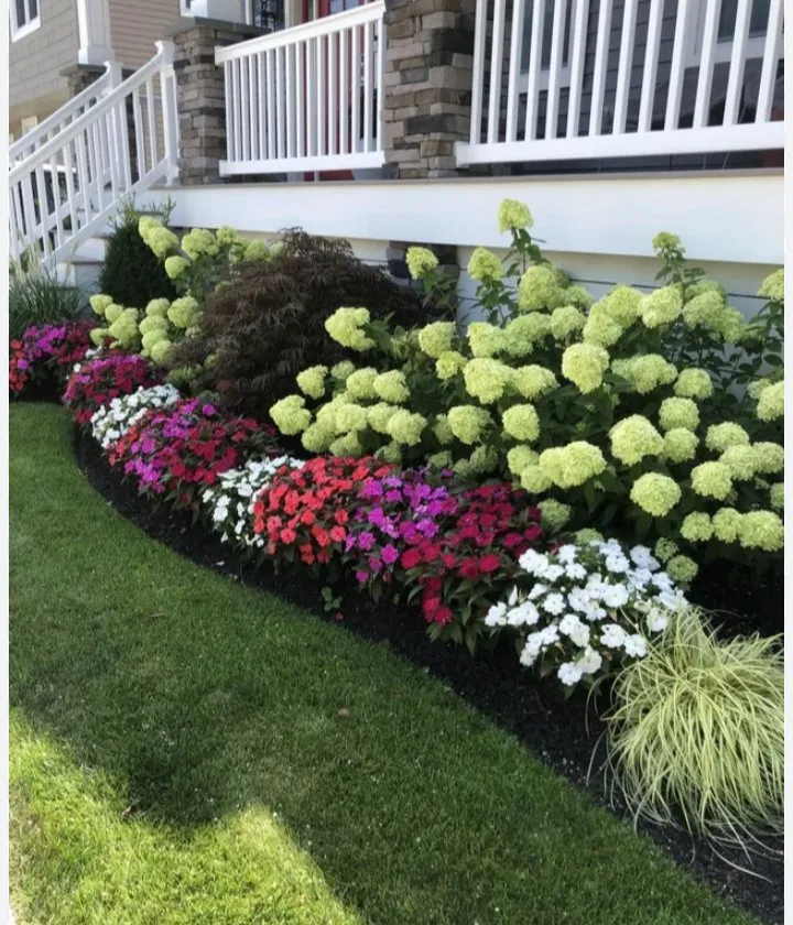 Custom lawn care service in Myrtle Beach, SC - Above and Beyond Lawn Service