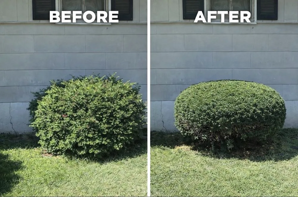 Trusted landscaping services near you in Ofallon, MO by Above And Beyond Lawn Services