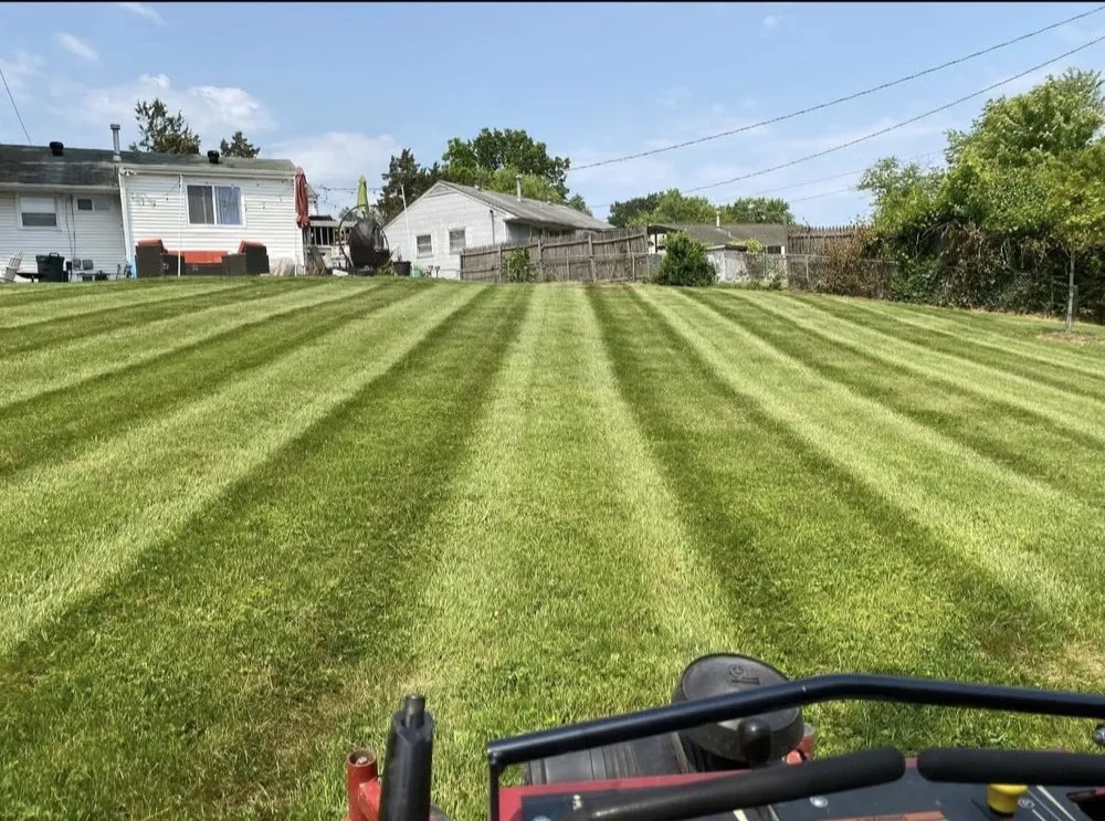 Affordable lawn care service in Ofallon, MO by Above And Beyond Lawn Services