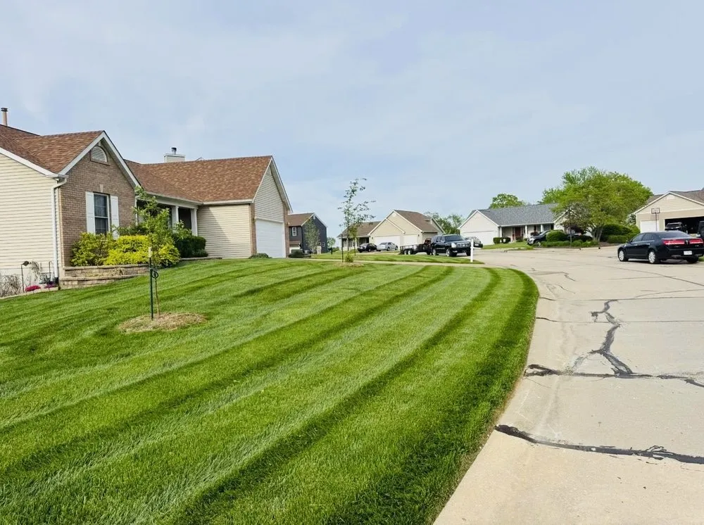 Affordable yard cleanup service in Ofallon, MO - Above And Beyond Lawn Services