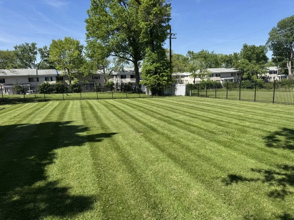 Professional yard cleanup service for beautiful yards across Ofallon, MO - Above And Beyond Lawn Services