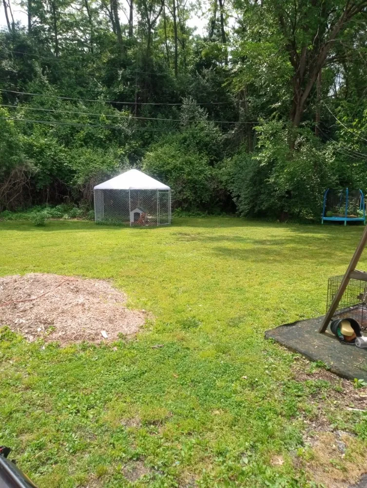 Professional yard maintenance with custom design across Columbus, OH - Above and Beyond Lawncare