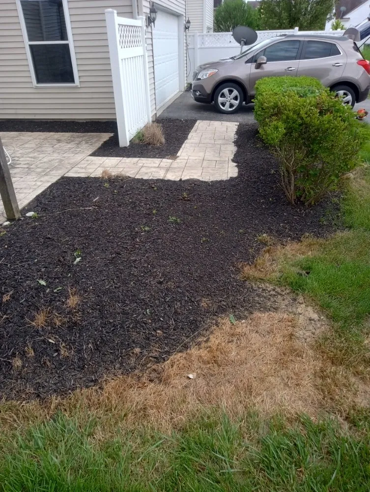 Expert lawn mowing service in Columbus, OH by Above and Beyond Lawncare