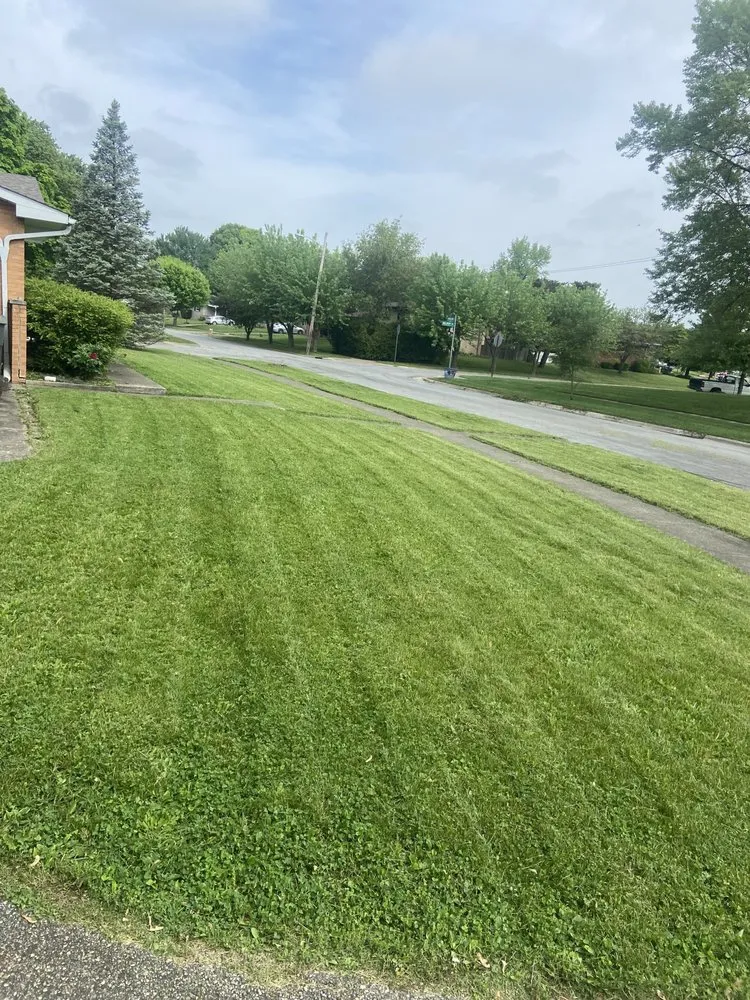 Custom yard maintenance near you across Columbus, OH - Above and Beyond Lawncare