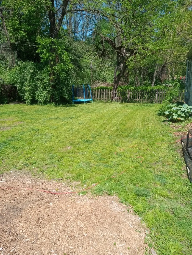 Professional yard maintenance near you across Columbus, OH - Above and Beyond Lawncare