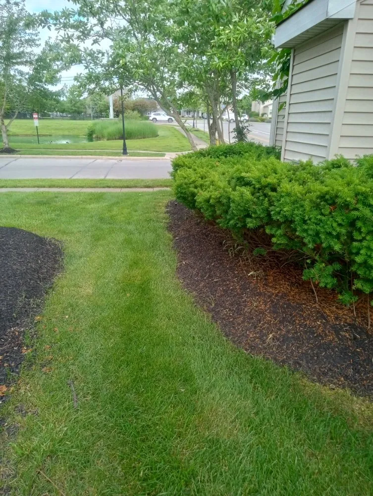 Professional landscaping services in Columbus, OH - Above and Beyond Lawncare