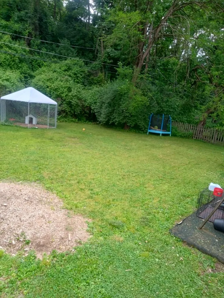 Professional residential landscaping in Columbus, OH by Above and Beyond Lawncare