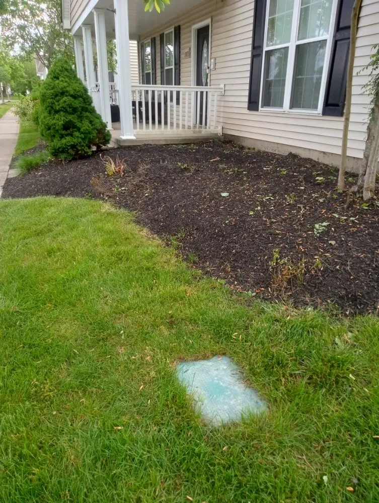 Affordable lawn care service in Columbus, OH by Above and Beyond Lawncare