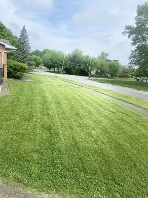 Above and Beyond Lawncare Logo