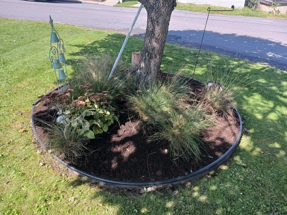 Reliable lawn mowing service experts serving Larksville, PA - Above and Beyond Lawncare