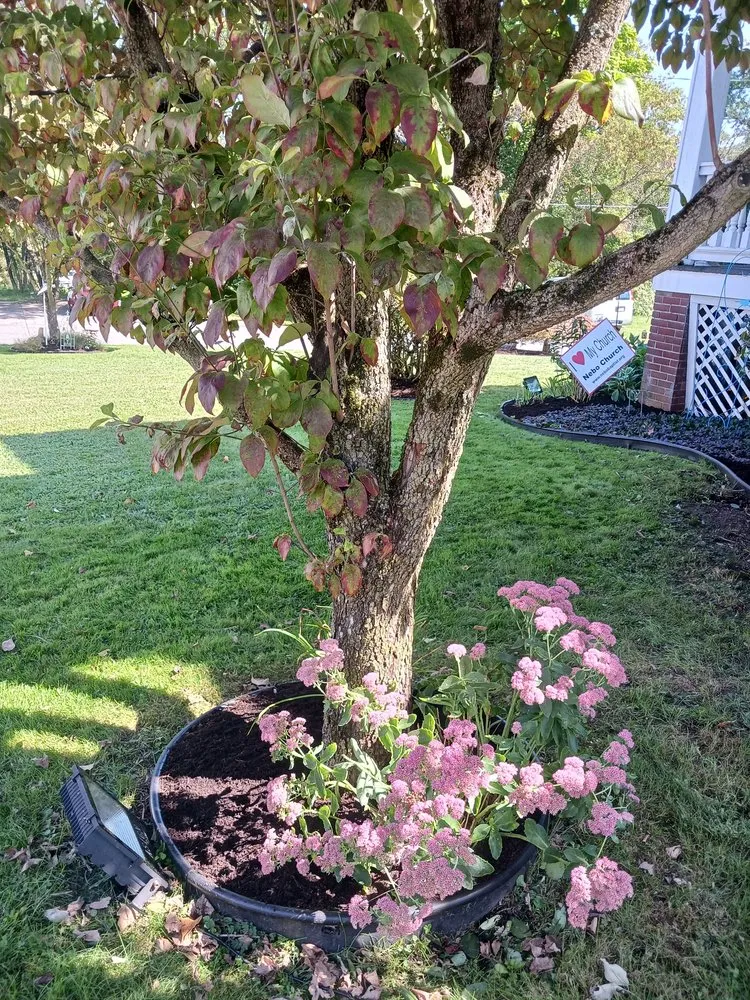 Local residential landscaping in Larksville, PA - Above and Beyond Lawncare