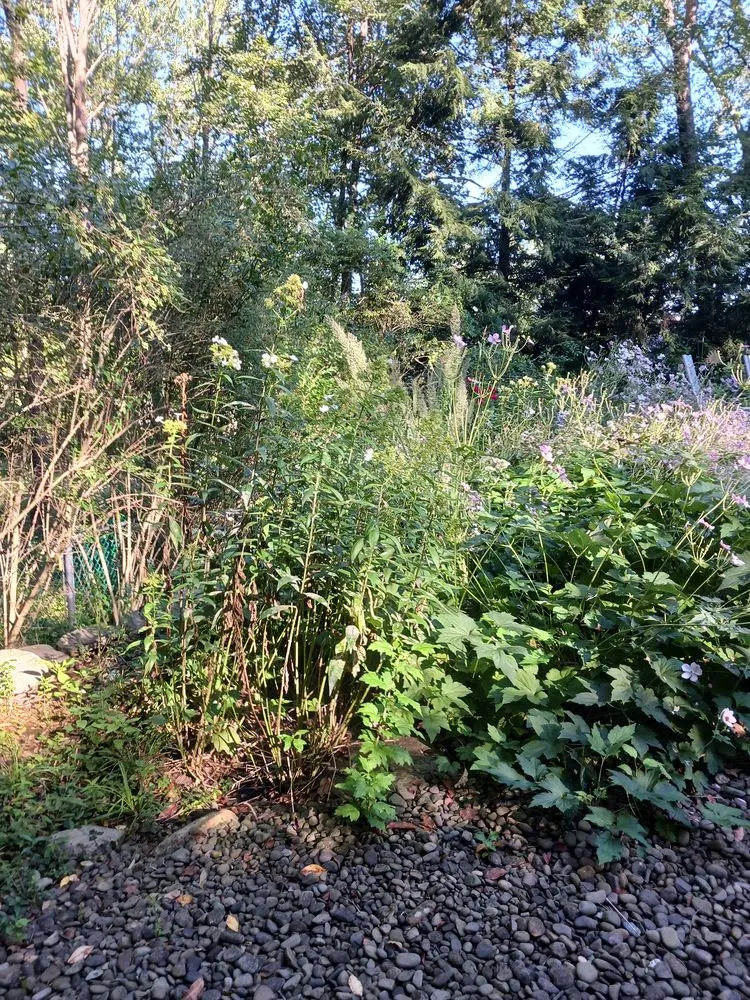 Professional residential landscaping for residential properties across Larksville, PA - Above and Beyond Lawncare