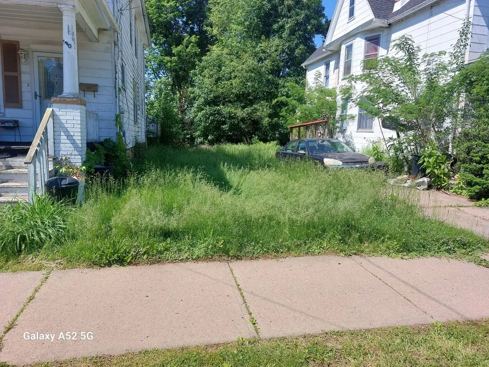 Expert yard cleanup service experts serving Larksville, PA - Above and Beyond Lawncare