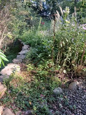 Above and Beyond Lawncare