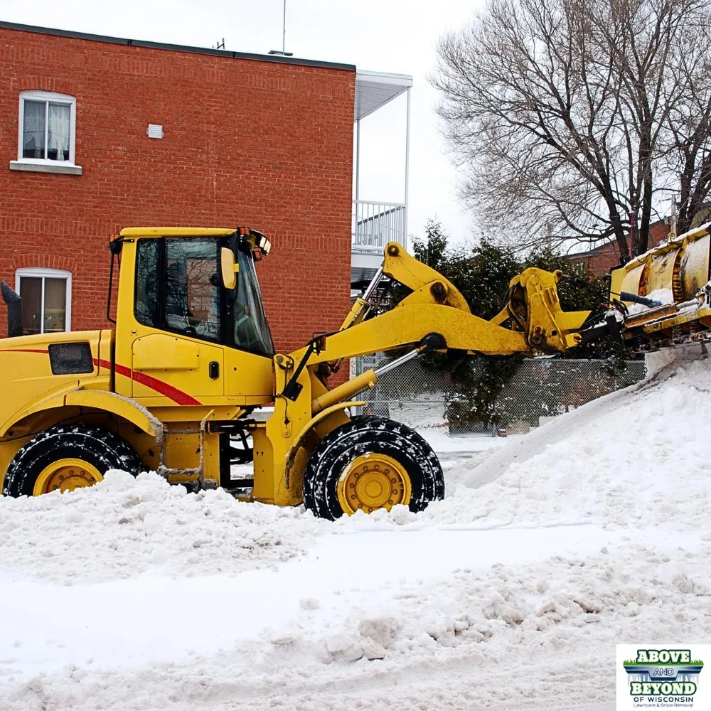 Expert yard cleanup service in Green Bay, WI by Above and Beyond of WI