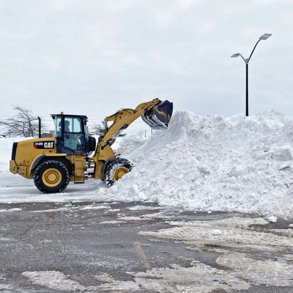 Trusted yard maintenance in Green Bay, WI - Above and Beyond of WI
