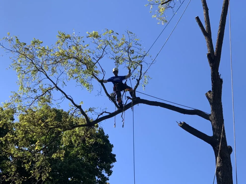 Trusted outdoor landscaping near you in Waterford Township, MI by Above and Beyond Outdoor Service