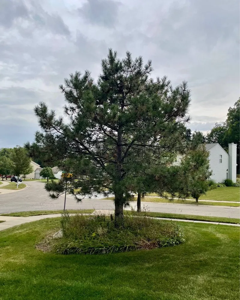 Expert landscape design for beautiful yards in Waterford Township, MI by Above and Beyond Outdoor Service