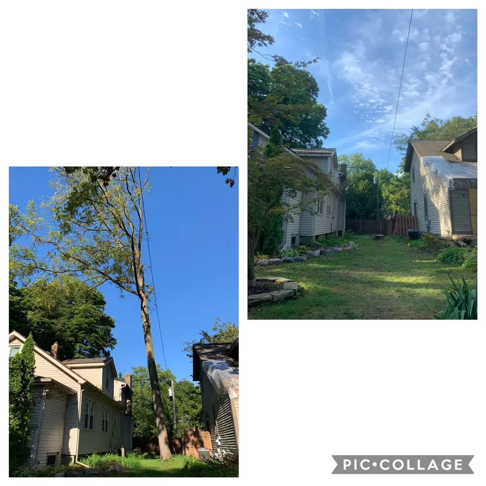 Top-rated yard cleanup service experts serving Waterford Township, MI - Above and Beyond Outdoor Service