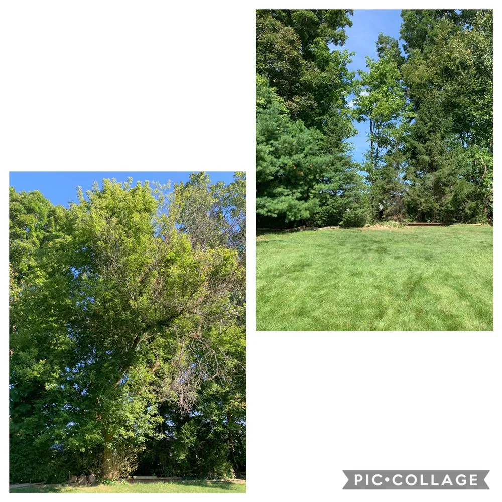 Trusted landscape design experts serving Waterford Township, MI - Above and Beyond Outdoor Service