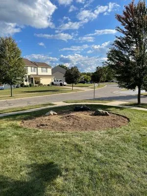 Above and Beyond Outdoor Service