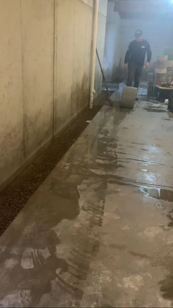 Trusted residential landscaping in Lansing, MI by Above and Beyond Professional Services