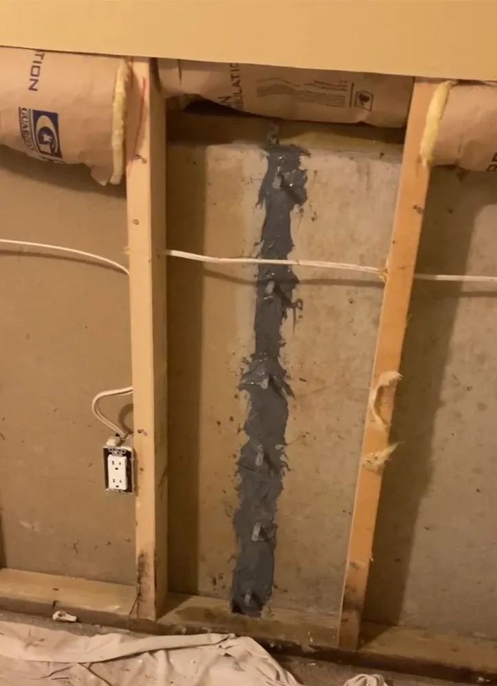 Affordable yard cleanup service experts serving Lansing, MI - Above and Beyond Professional Services