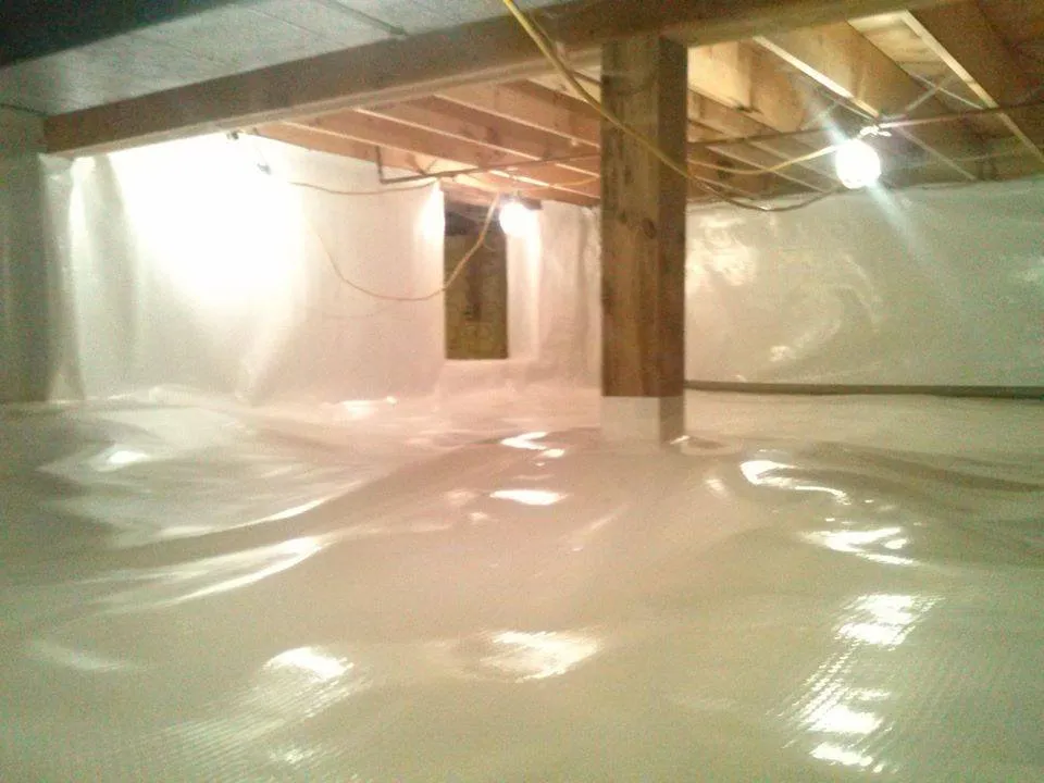 Top-rated yard cleanup service for homes across Lansing, MI - Above and Beyond Professional Services