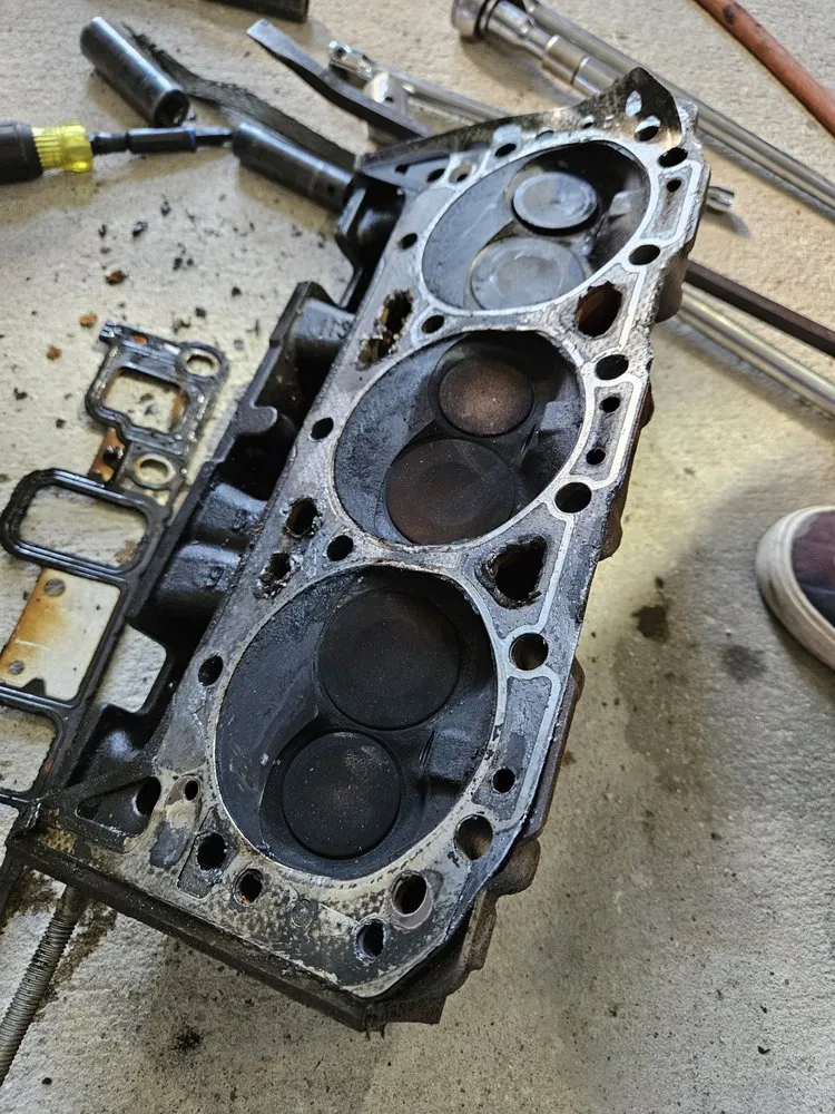 Top-rated outdoor landscaping in Goose Creek, SC by Above and Beyond Residential Maintenance