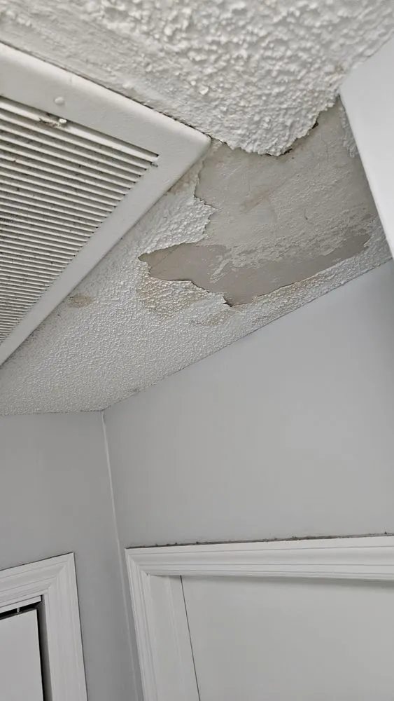 Local yard cleanup service for residential properties across Goose Creek, SC - Above and Beyond Residential Maintenance