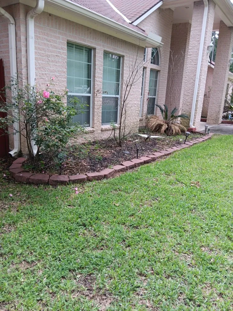 Affordable outdoor landscaping for year-round maintenance across Houston, TX - Above Average Landscaping
