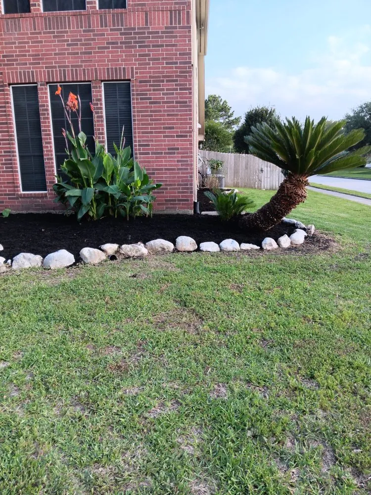 Trusted residential landscaping experts serving Houston, TX - Above Average Landscaping