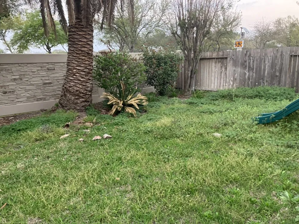 Reliable residential landscaping in Houston, TX - Above Average Landscaping