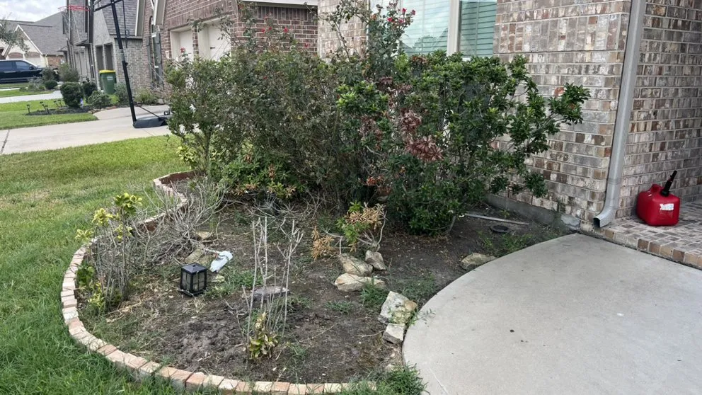 Expert residential landscaping for beautiful yards in Houston, TX by Above Average Landscaping
