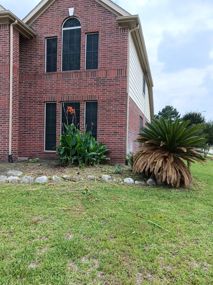 Trusted yard cleanup service in Houston, TX by Above Average Landscaping