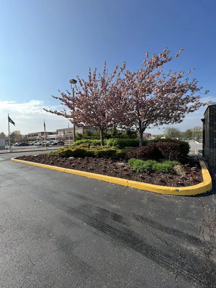 Top-rated garden landscaping in Ronkonkoma, NY - Above Average Landscaping