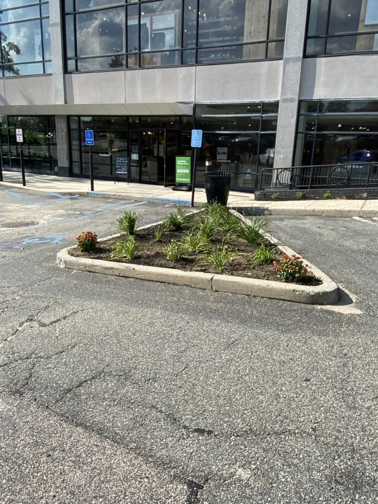 Professional residential landscaping with custom design across Ronkonkoma, NY - Above Average Landscaping