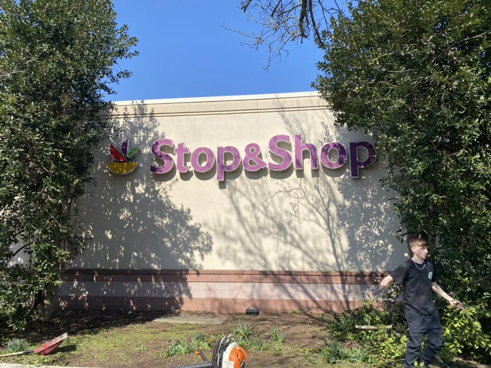 Professional landscape installation for residential properties in Ronkonkoma, NY by Above Average Landscaping