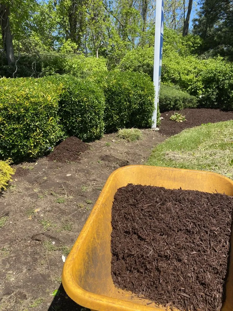 Professional lawn mowing service with custom design in Ronkonkoma, NY by Above Average Landscaping