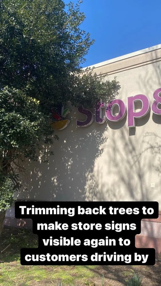 Expert landscaping services for residential properties across Ronkonkoma, NY - Above Average Landscaping