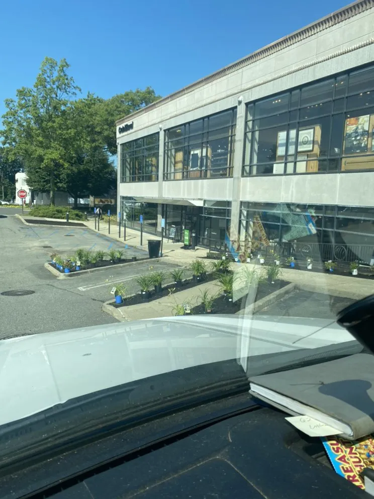 Expert landscape installation for year-round maintenance in Ronkonkoma, NY by Above Average Landscaping