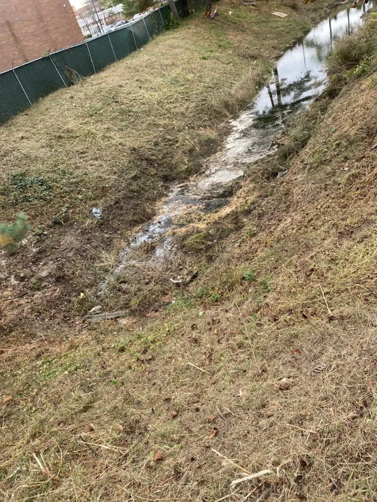 Trusted lawn care service with custom design in Ronkonkoma, NY by Above Average Landscaping