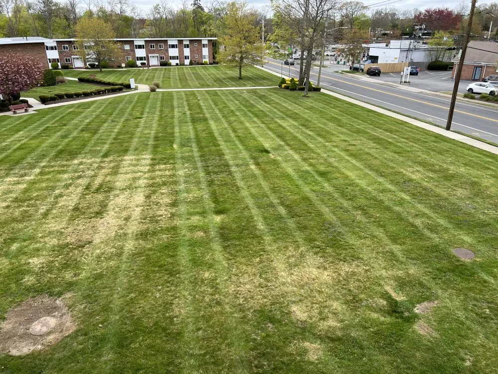 Reliable outdoor landscaping with custom design in Ronkonkoma, NY by Above Average Landscaping