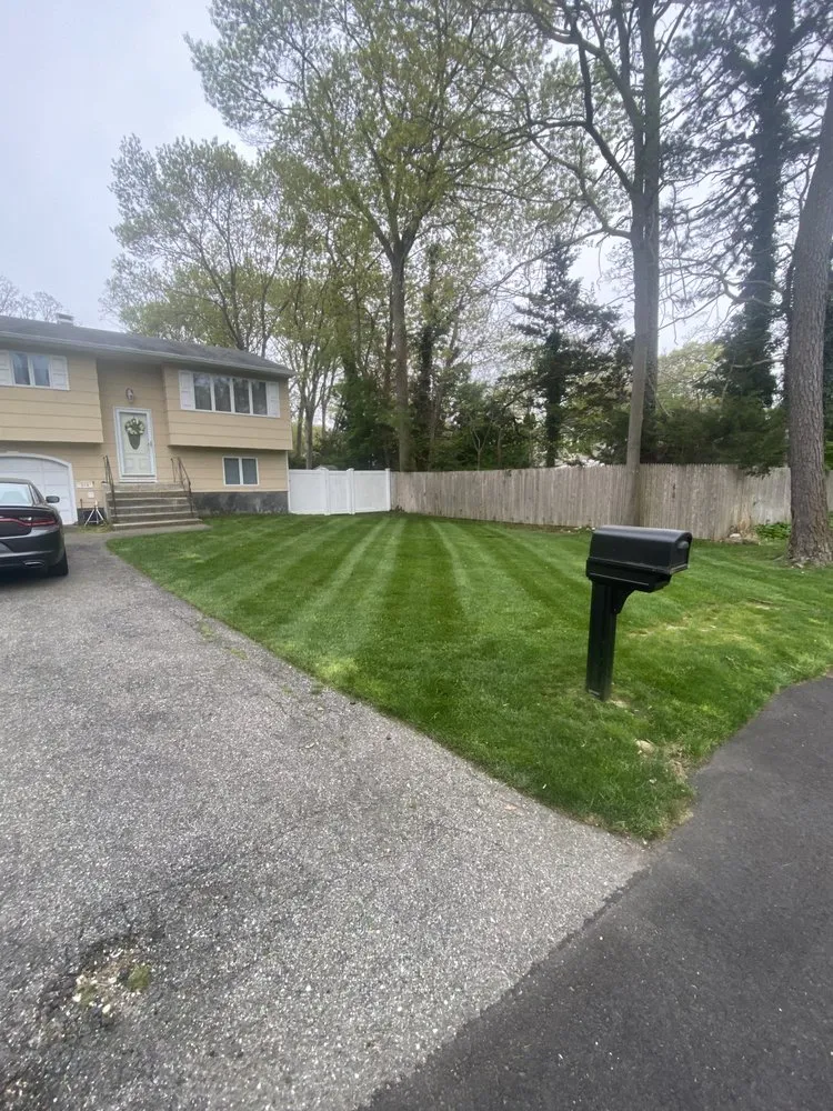 Expert yard maintenance for homes in Ronkonkoma, NY by Above Average Landscaping