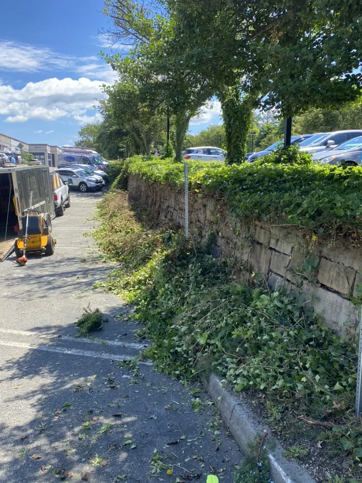 Trusted residential landscaping experts serving Ronkonkoma, NY - Above Average Landscaping