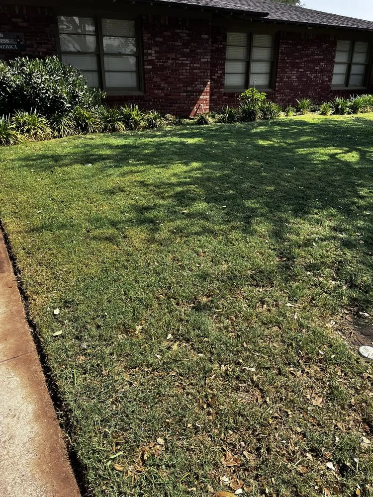 Trusted landscaping services in Midland, TX by Above Average Lawn Care