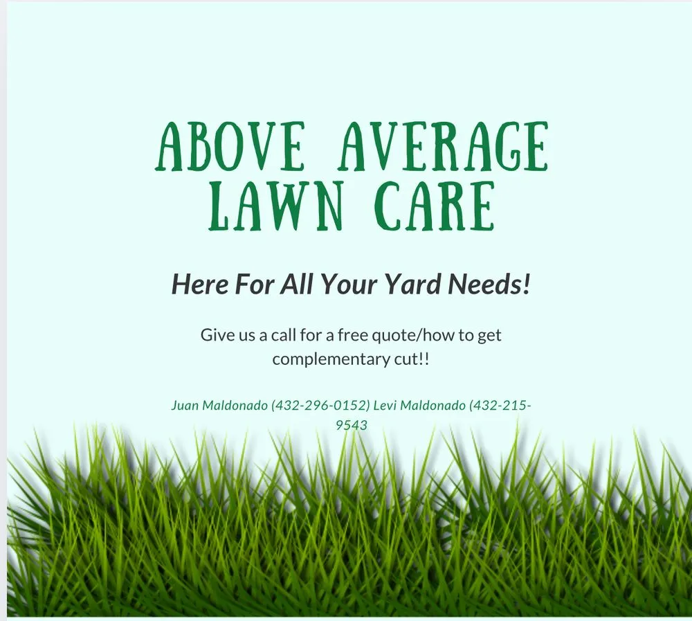 Top-rated landscaping services for outdoor upgrades across Midland, TX - Above Average Lawn Care