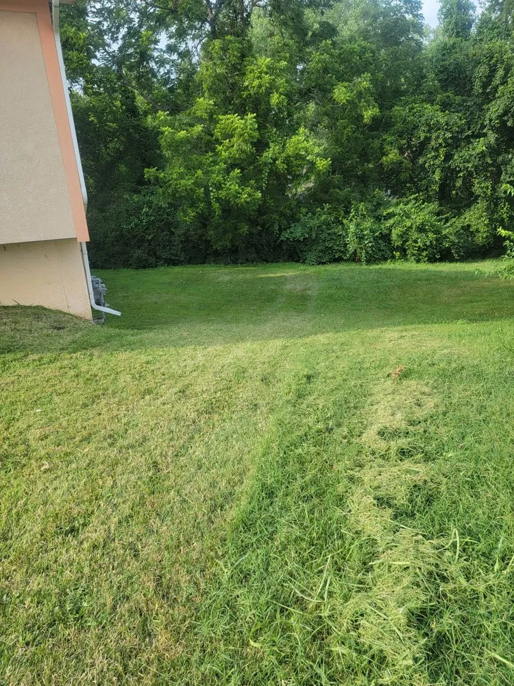 Affordable lawn mowing service for beautiful yards in Lee's Summit, MO by Above Expectations